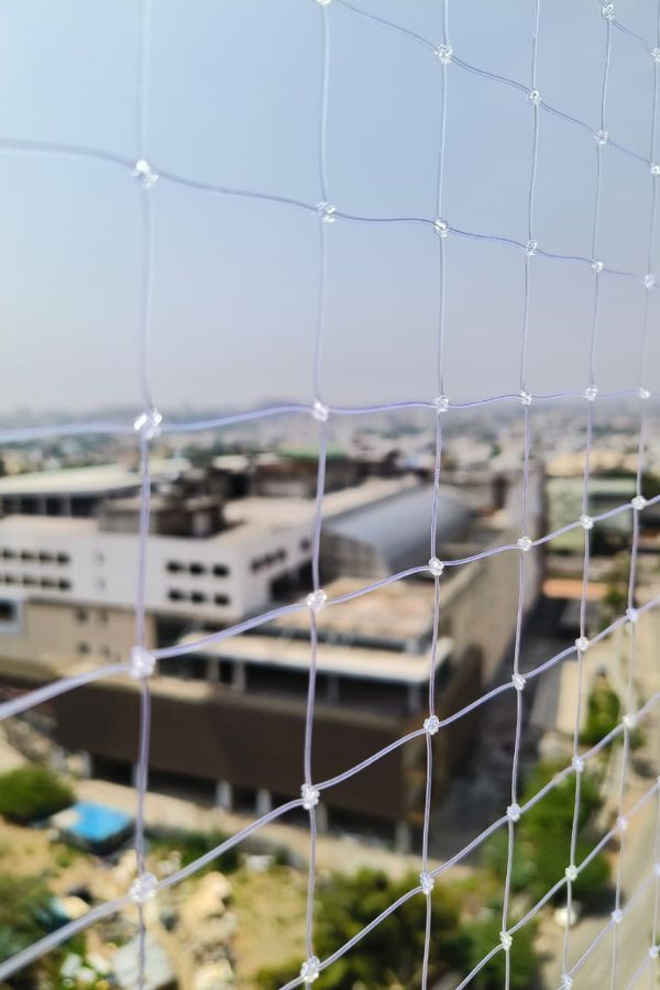 Pigeon Net Fixing services