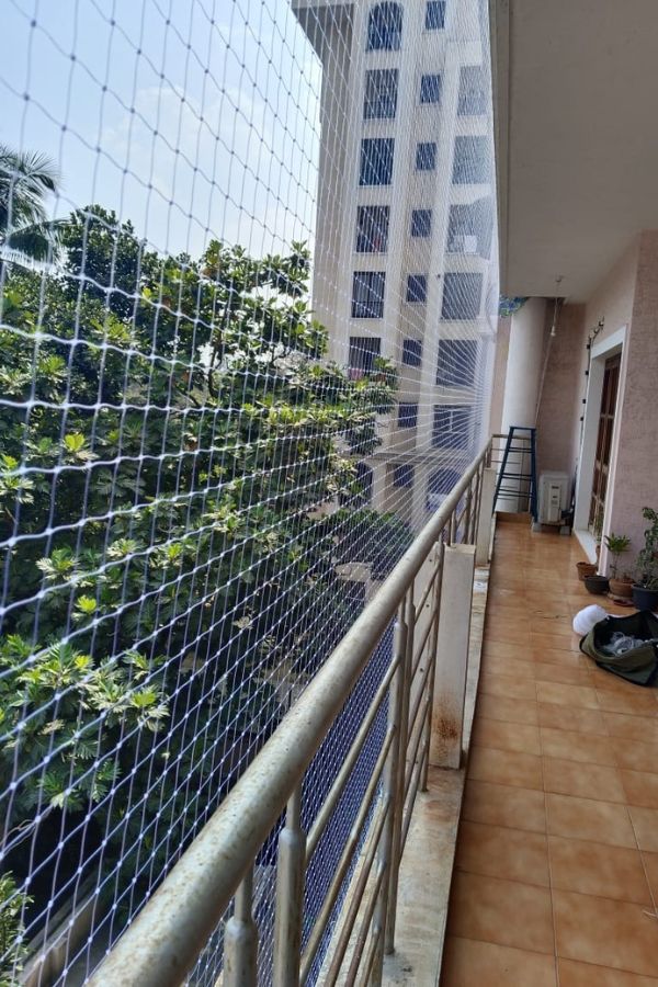 Anti Pigeon Nets