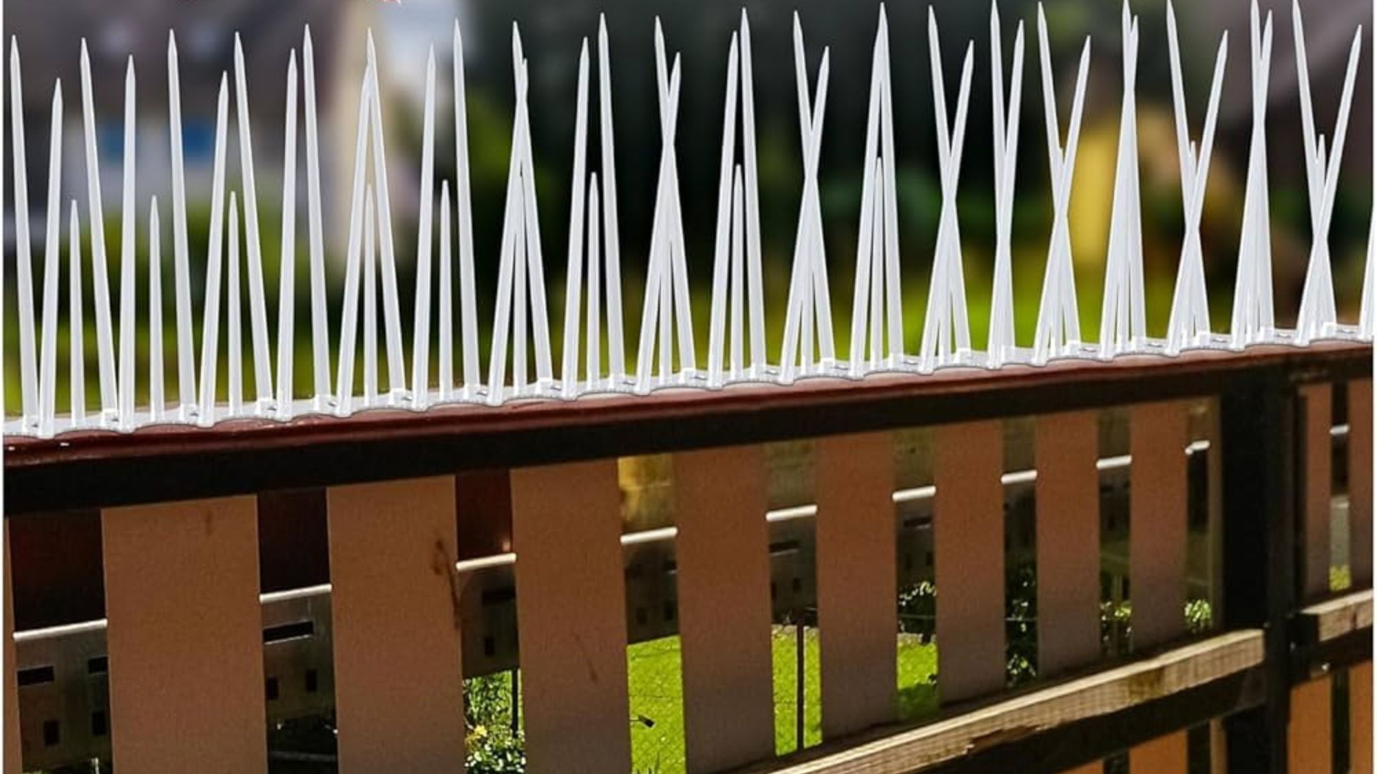 Bird Spikes